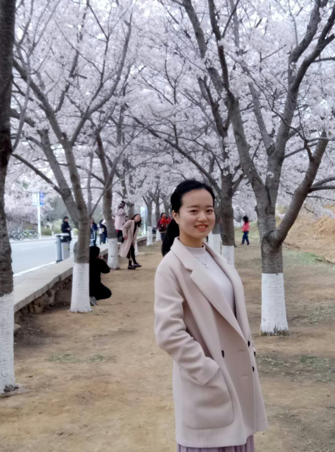 语文 张玥阳.jpg
